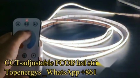 Striscia LED COB flessibile 360 ​​LED/M senza punti luce